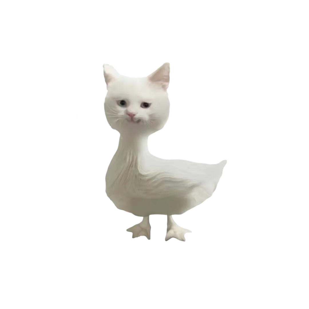 A white cat with the body of a duck